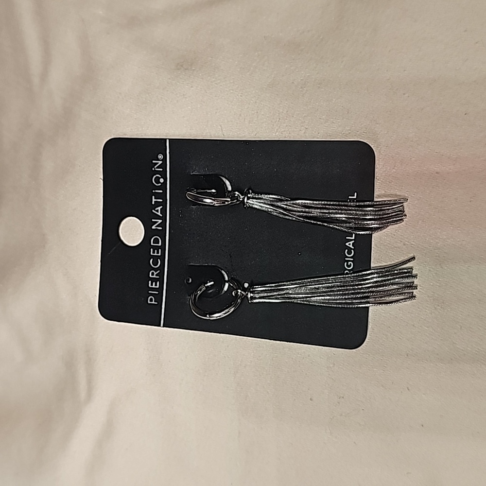 Metal Tassle Earrings